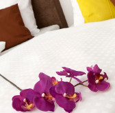 Preise Apartments Pension Lenz, der Tipps f�r das Oktoberfest M�nchen!